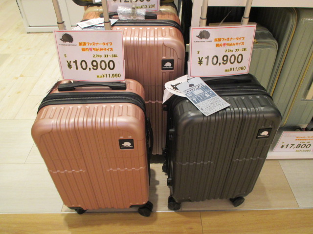 スーツケース１０％OFF